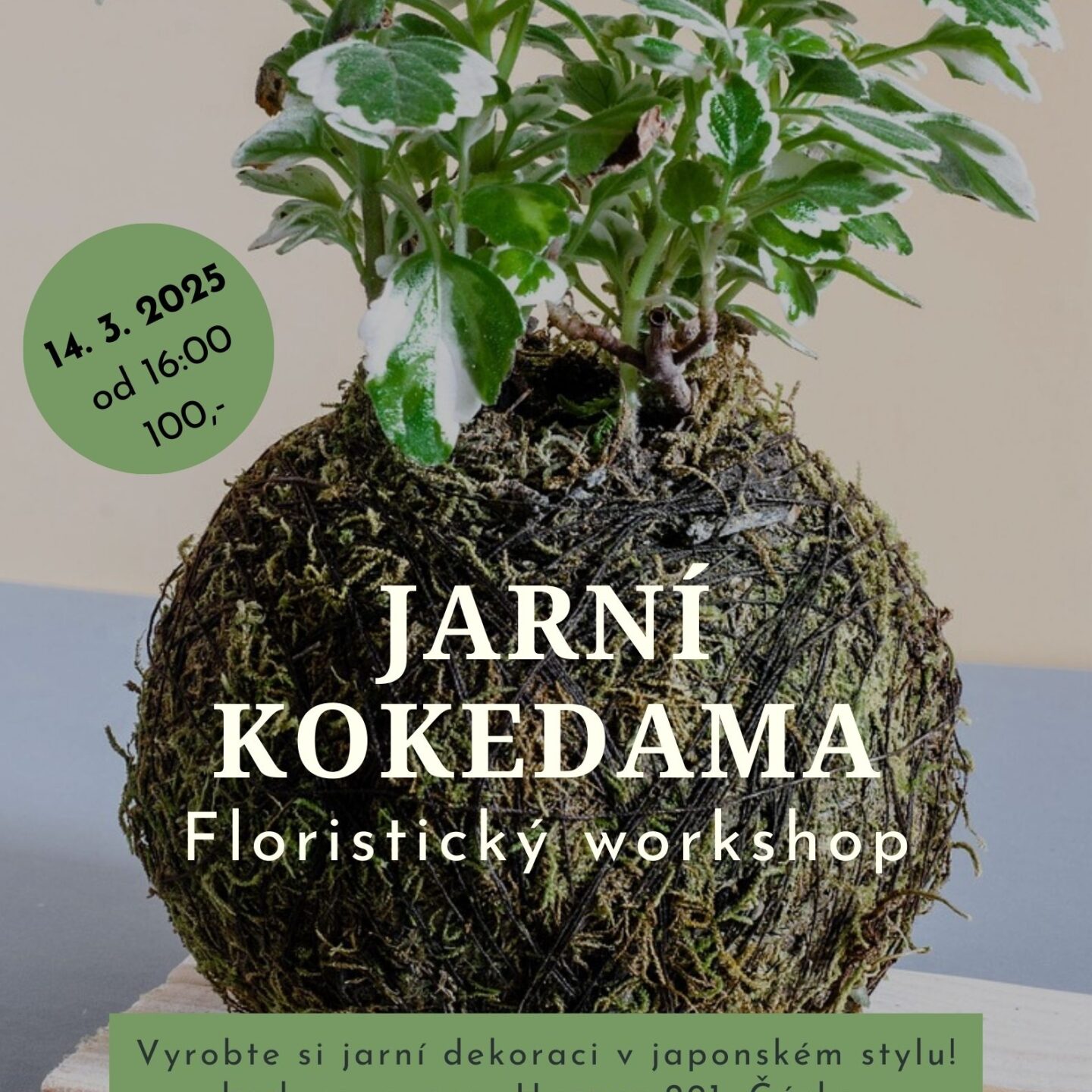 JARNÍ KOKEDAMA 14.3.2025