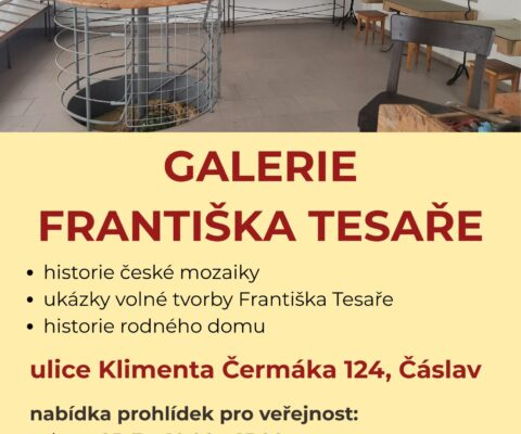 Galerie Františka Tesaře, termíny prohlídek