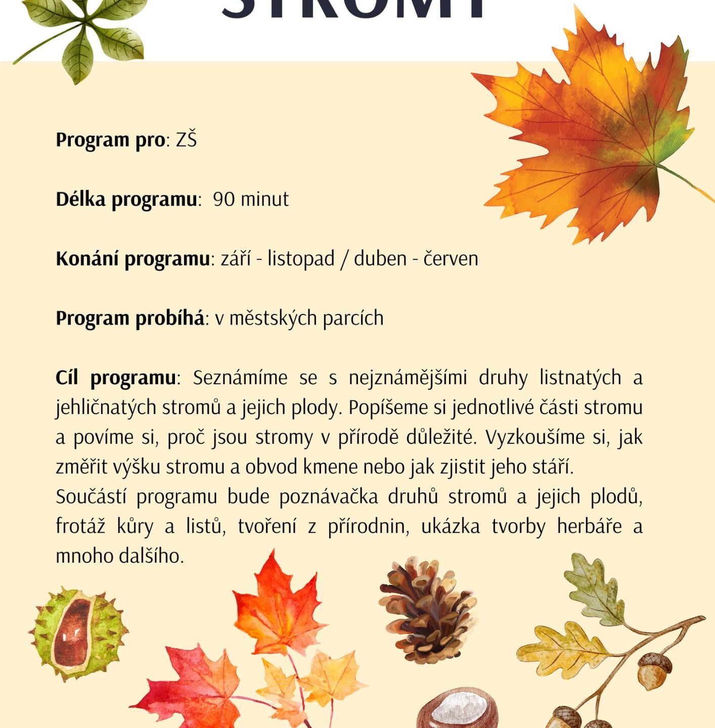 STROMY- nový edukační program pro ZŠ