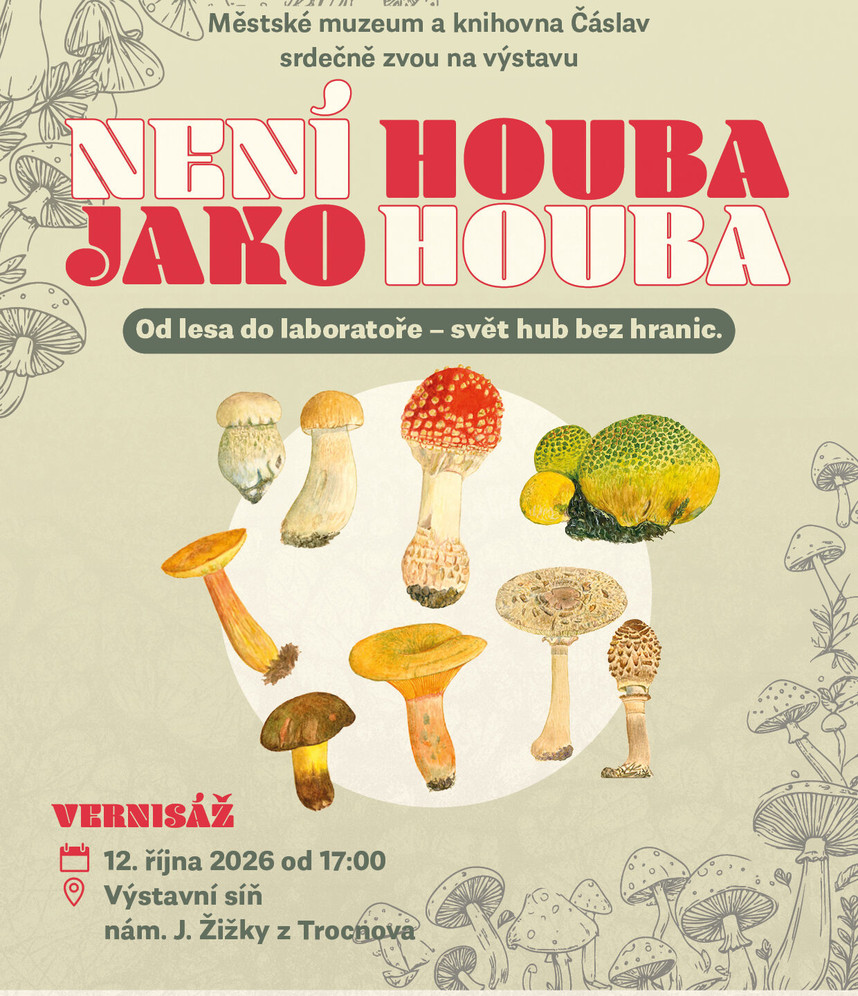 Není houba jako houba 13.10.- 15.11.2026