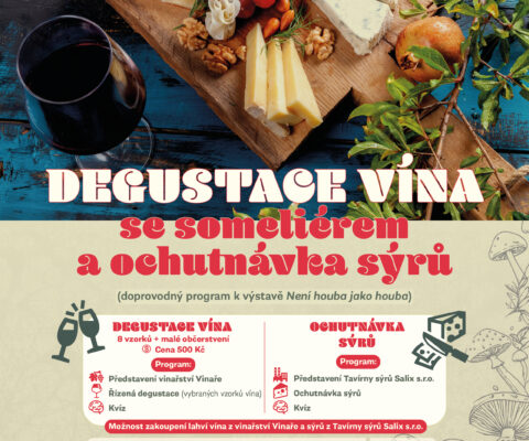 Degustace vína se someliérem a ochutnávka sýrů, přihlášky do 25.10.2026