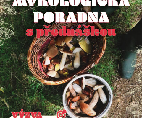 Mykologická poradna s přednáškou 29.10.2026